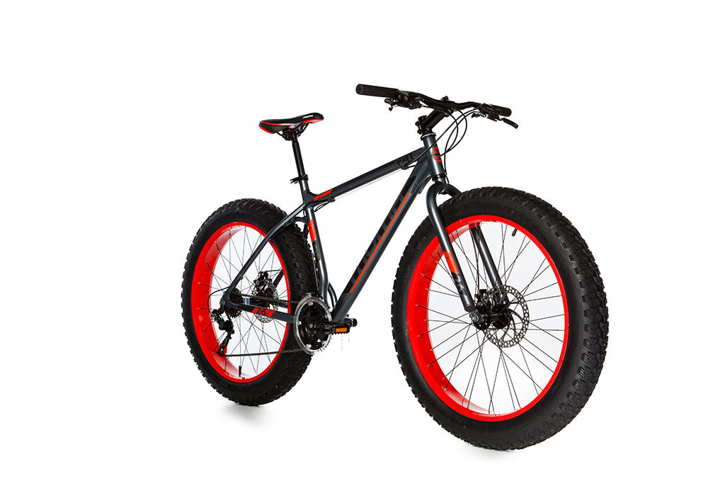 Fatbike Fahrrad